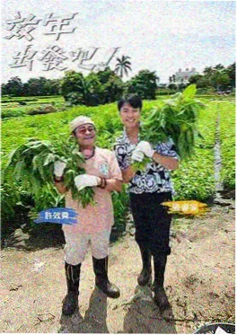 一日厨师长 美食综艺在线观看海报
